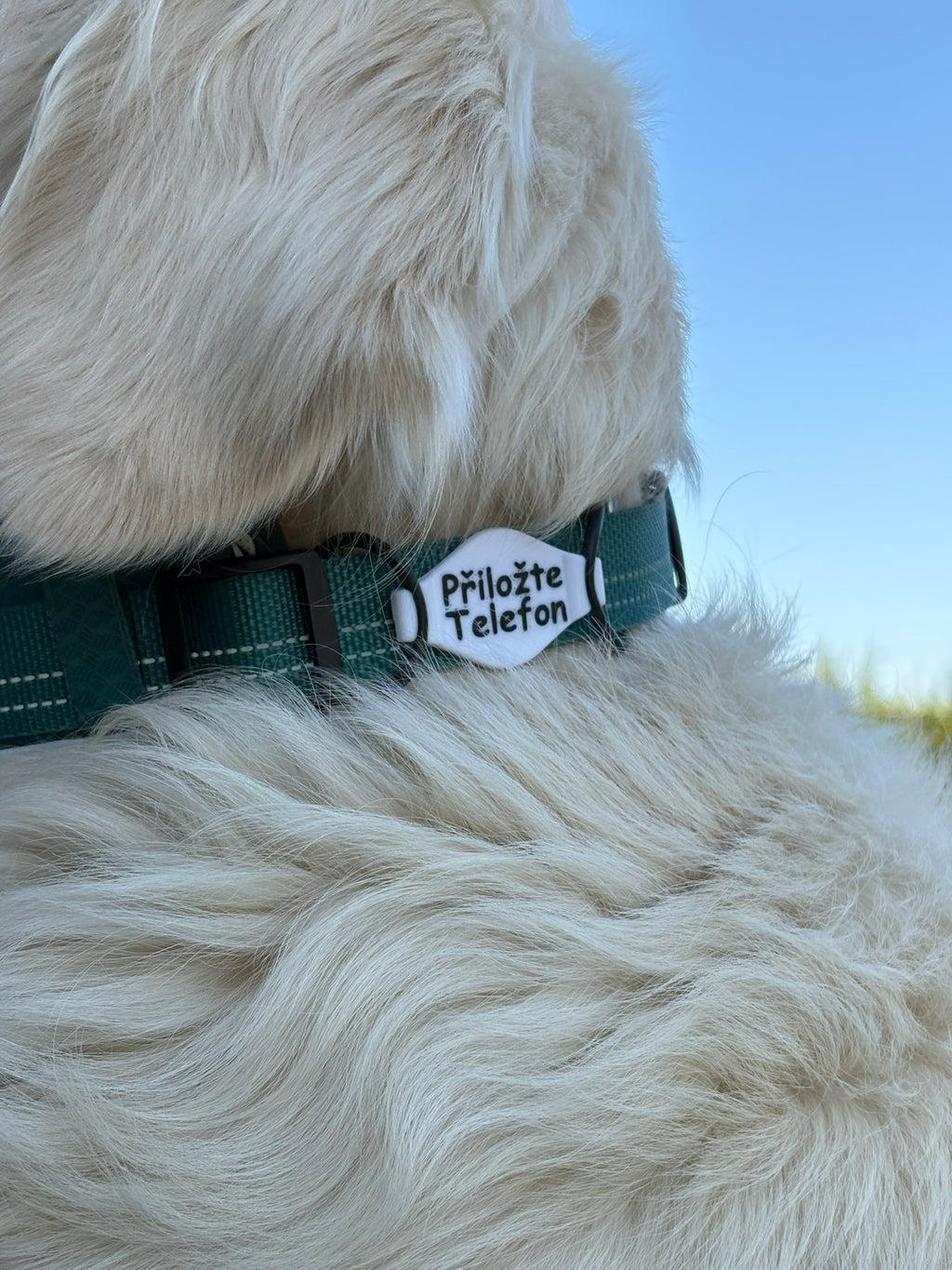 PetTap